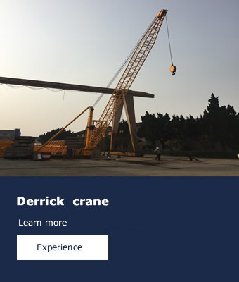 Derrick  crane